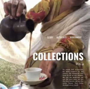 Image for The Diaz Collections